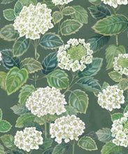 Load image into Gallery viewer, Hydrangea Garden Wallpaper • Green • Swatch