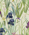 Iris Wallpaper