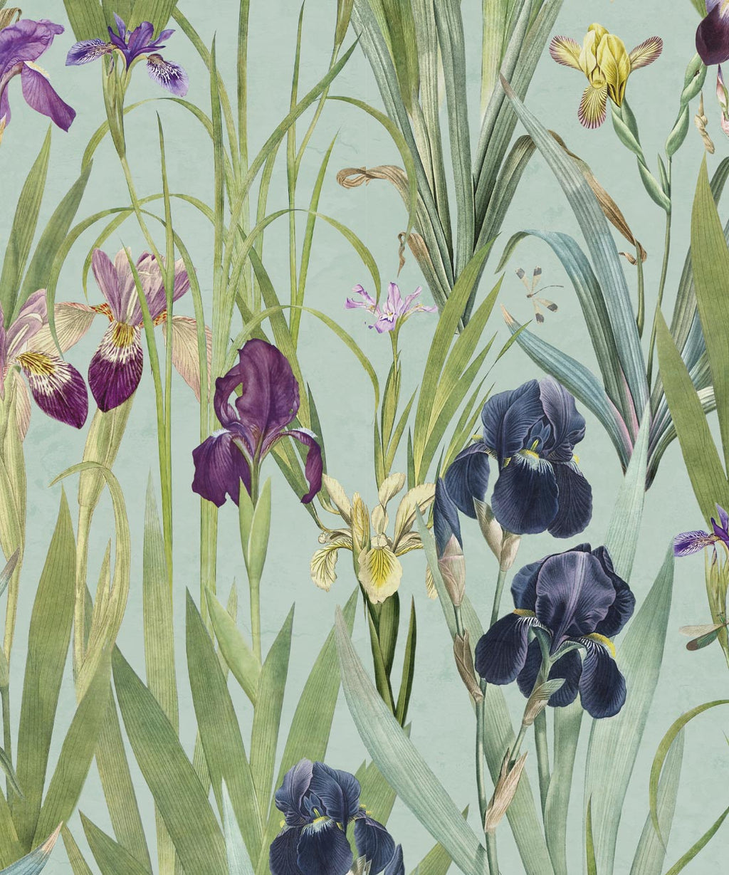 Iris Wallpaper