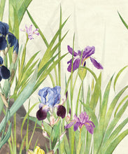 Load image into Gallery viewer, Iris Garden Mural • Beige • Swatch