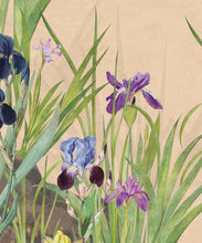 Load image into Gallery viewer, Iris Garden Mural • Pink • Swatch