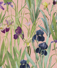 Load image into Gallery viewer, Iris Wallpaper • Pink • Swatch