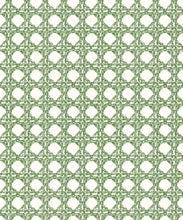 Load image into Gallery viewer, Nevis Wallpaper • Dianne Bergeron • Moss • Swatch