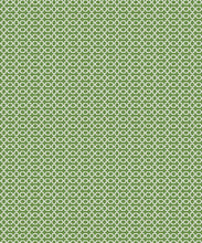 Load image into Gallery viewer, Ravello Wallpaper • Dianne Bergeron • Parsley • Swatch