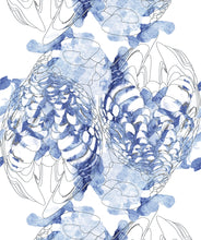 Load image into Gallery viewer, Kandos Cobalt