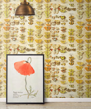 Load image into Gallery viewer, lepidoptera is a vintage butterflies wallpaper