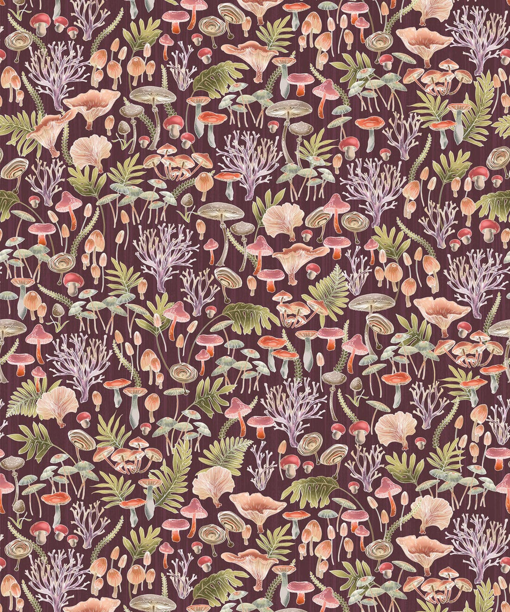 Fungi Wallpaper
