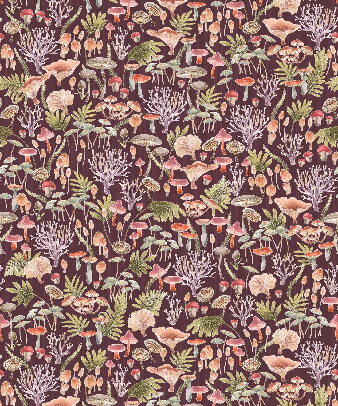 Fungi Wallpaper