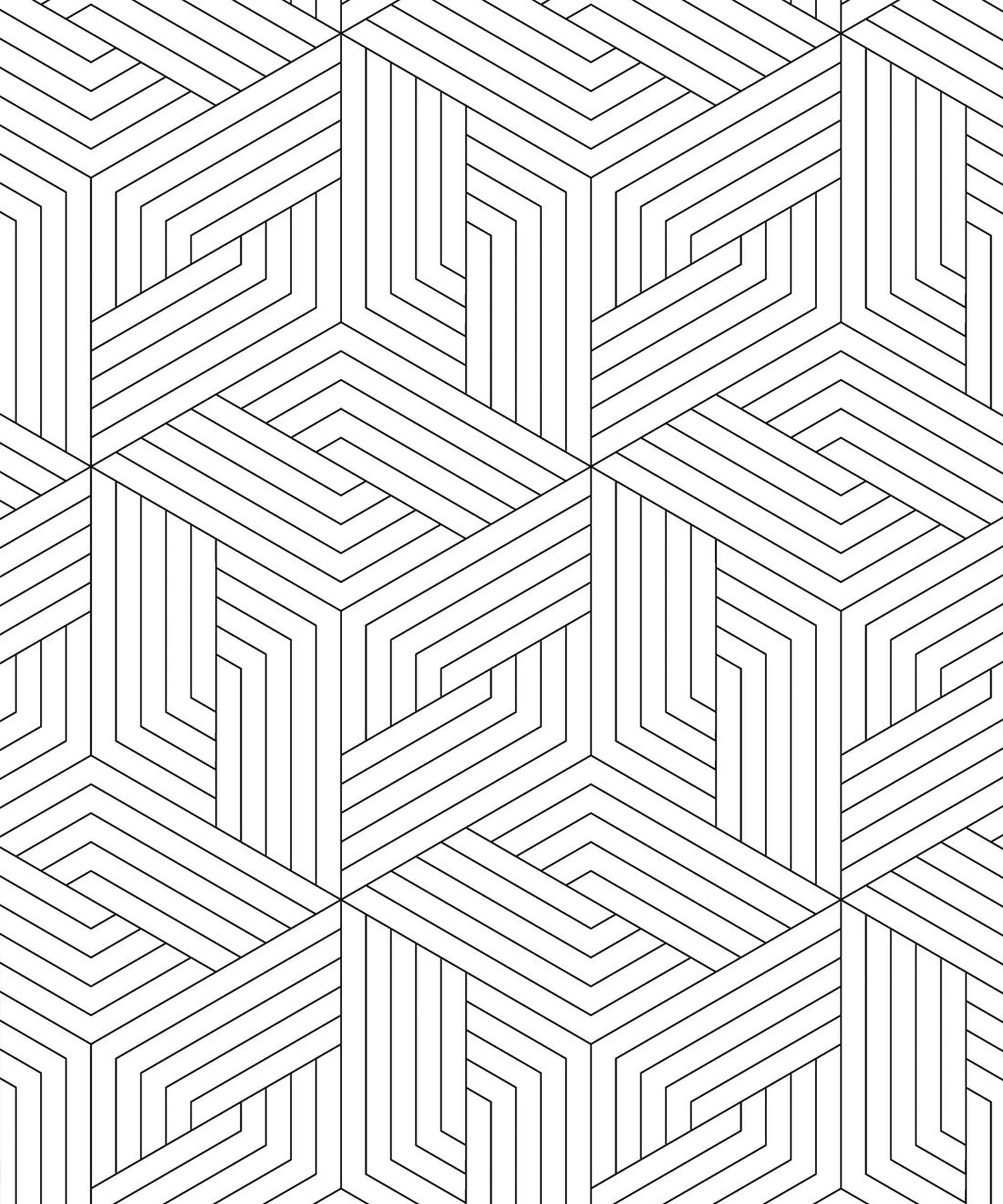 Black Lined Geometric Illusions Wallpaper • Geometric Wallpaper • Milton & King