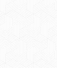 Load image into Gallery viewer, Geometric Illusions Wallpaper