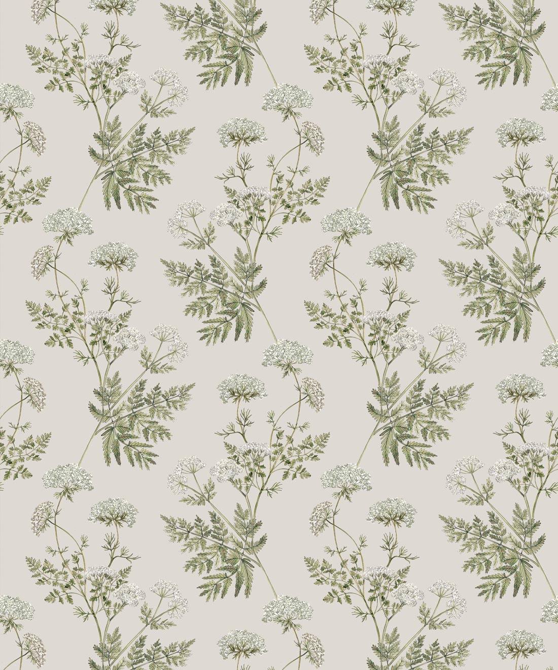Cicely Wallpaper