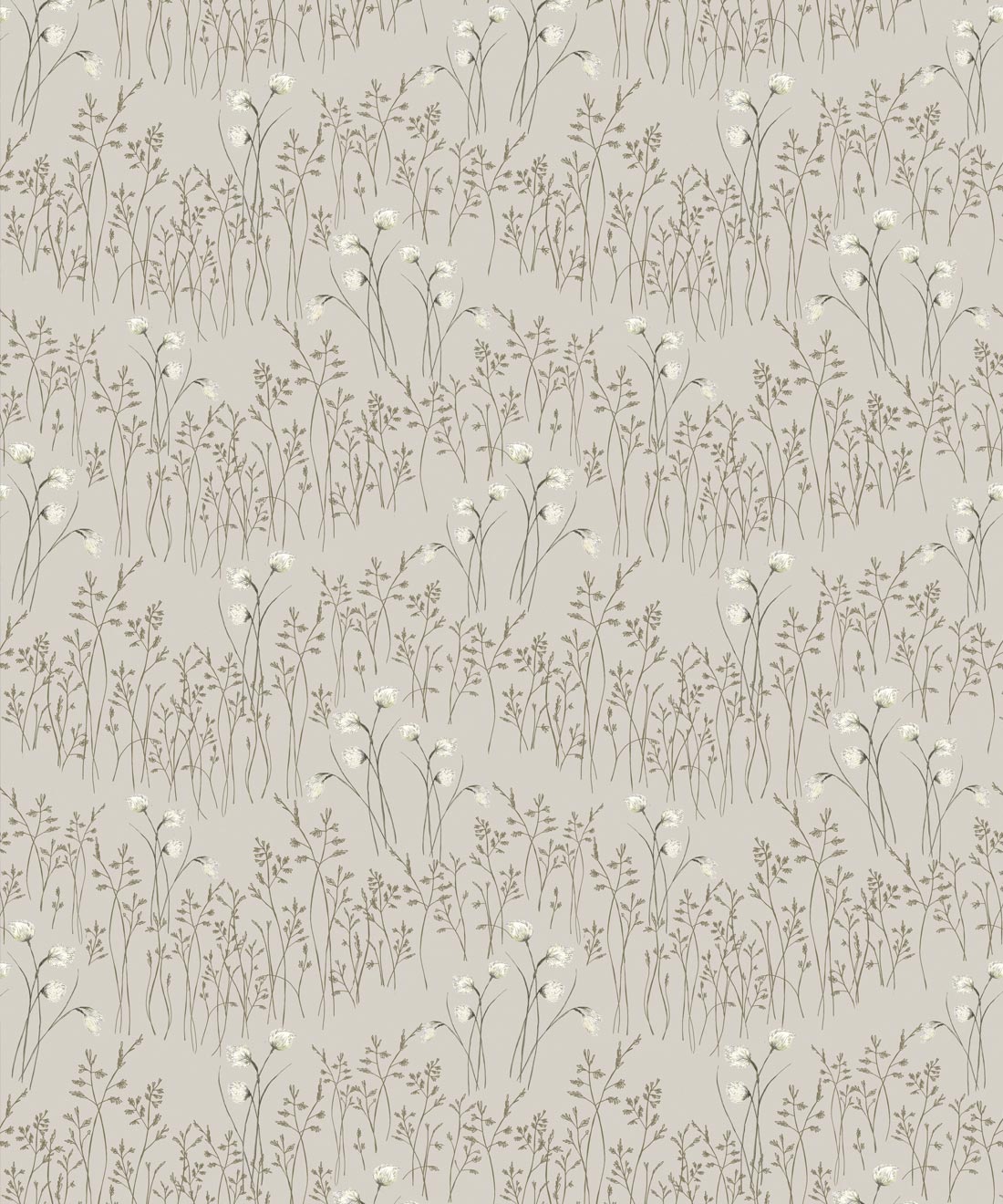 Cotton Grass Wallpaper