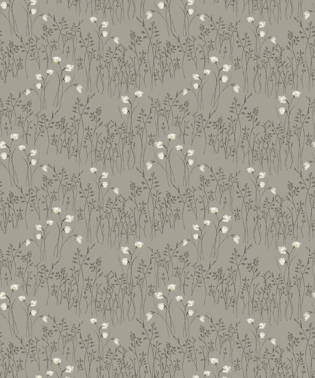 Cotton Grass Wallpaper