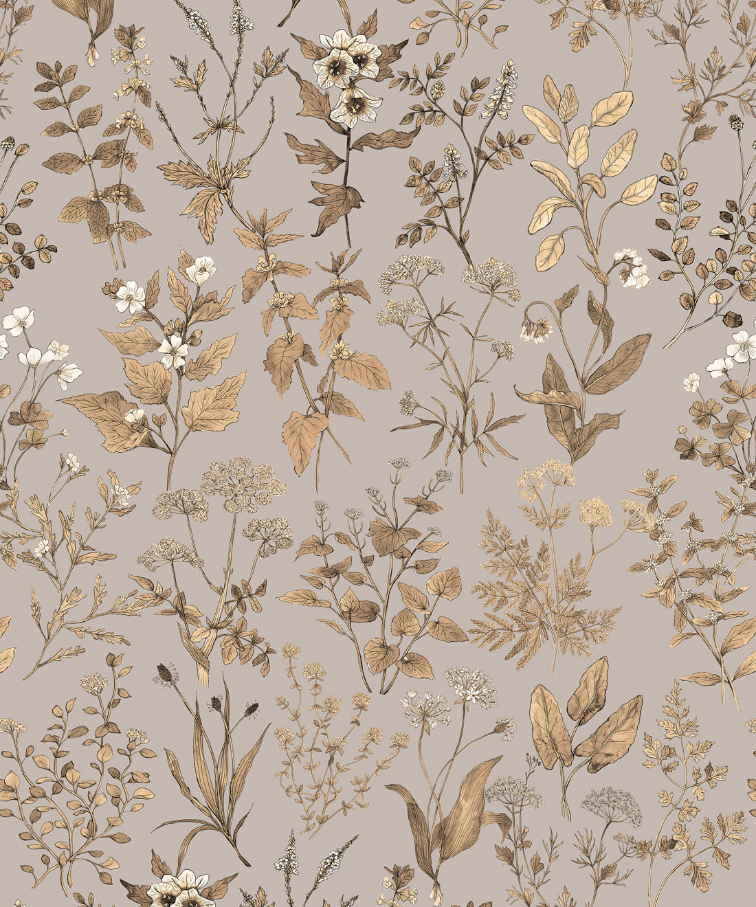 Herbarium Antique Wallpaper