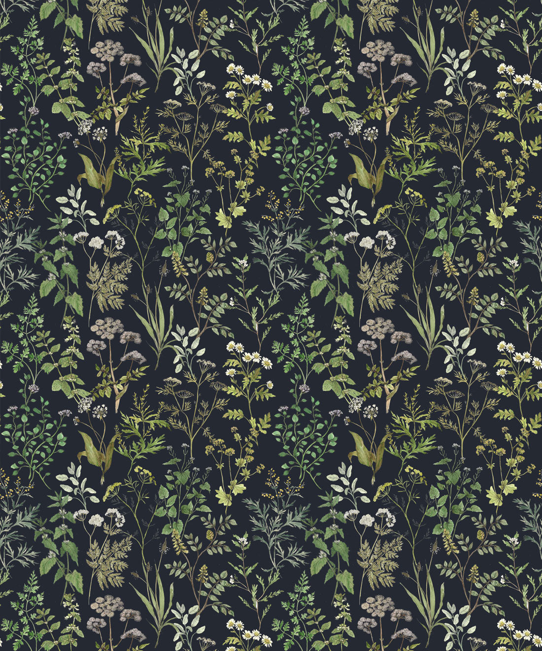 Herbarium Wallpaper • Hackney & Co. • Dark Navy • Swatch