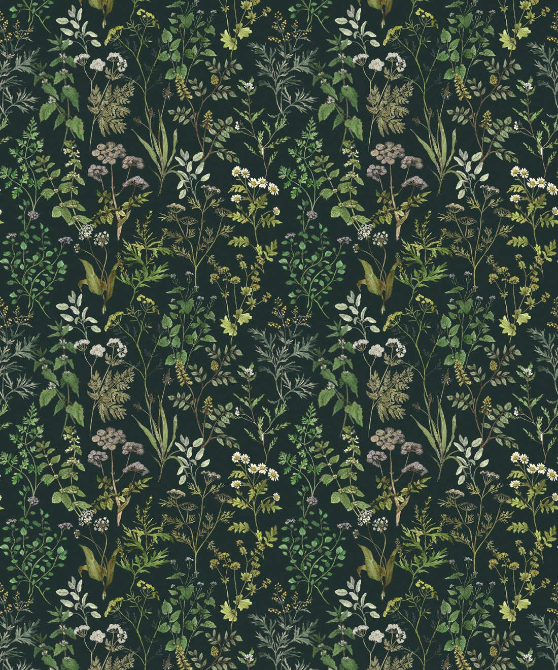 Garden Herbs Wallpaper