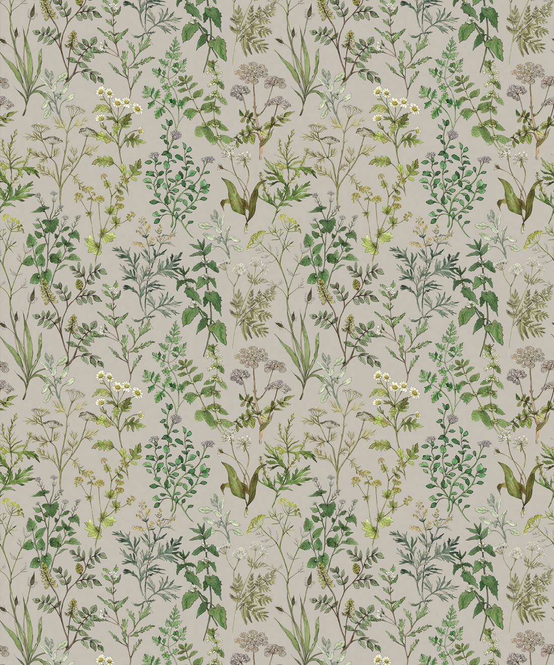 Herbarium Wallpaper • Hackney & Co. • Grey • Swatch