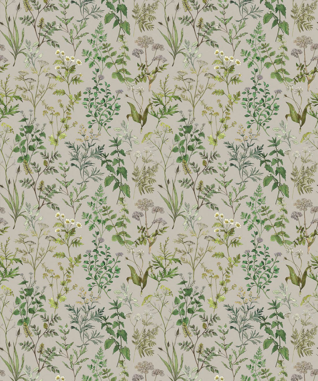 Garden Herbs Wallpaper
