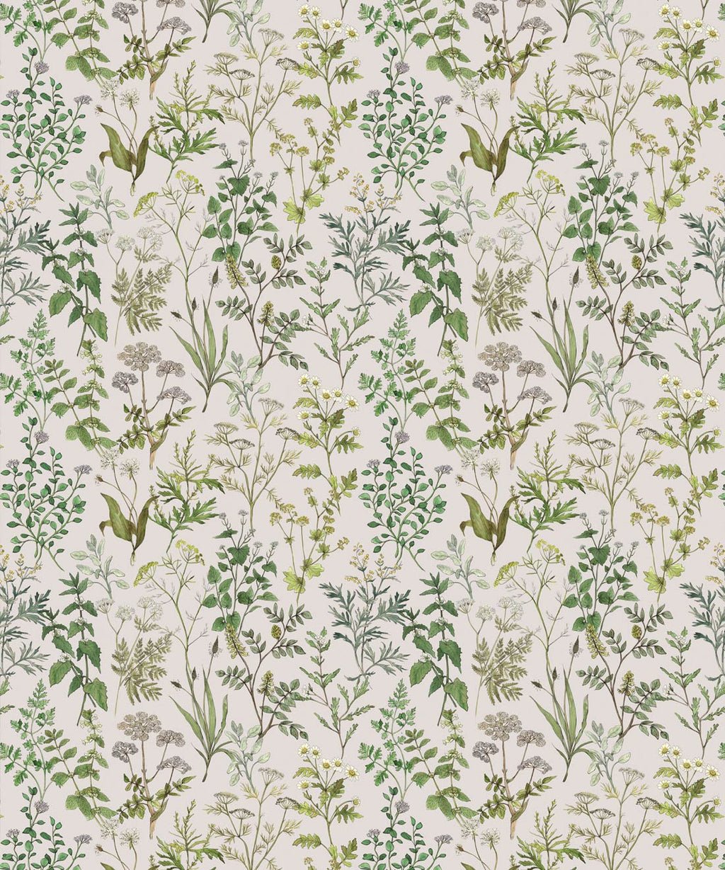 Herbarium Wallpaper • Hackney & Co. • Stone • Swatch