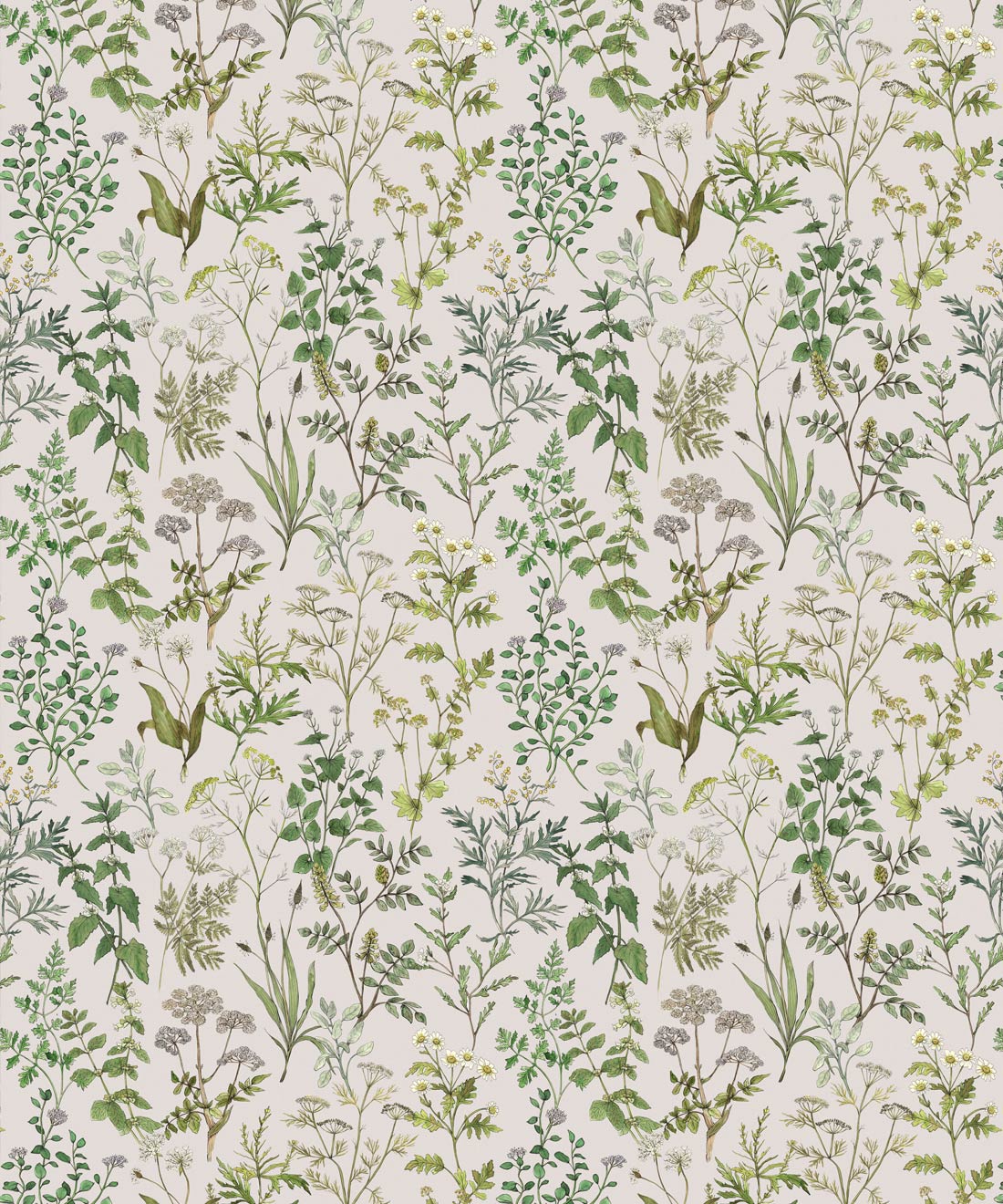 Herbarium Wallpaper • Hackney & Co. • Stone • Swatch