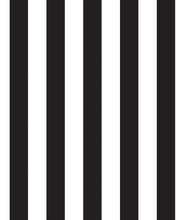 Load image into Gallery viewer, Black &amp; White Stripe