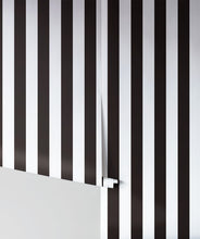 Load image into Gallery viewer, Black &amp; White Stripe