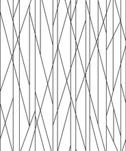 Load image into Gallery viewer, Nixon is a black and white textured wallpaper