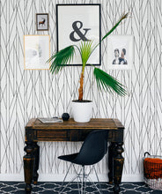 Load image into Gallery viewer, Nixon is a black and white textured wallpaper