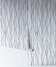 Load image into Gallery viewer, Nixon is a black and white textured wallpaper