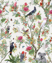 Load image into Gallery viewer, Australia Wallpaper • Cockatoos, Koalas, Parrots, Finches • Milton &amp; King USA • Canvas Wallpaper Swatch
