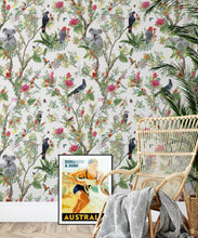 Load image into Gallery viewer, Australia Wallpaper • Cockatoos, Koalas, Parrots, Finches • Milton &amp; King USA • Canvas Wallpaper Insitu