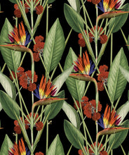 Load image into Gallery viewer, Birds Of Paradise Night
