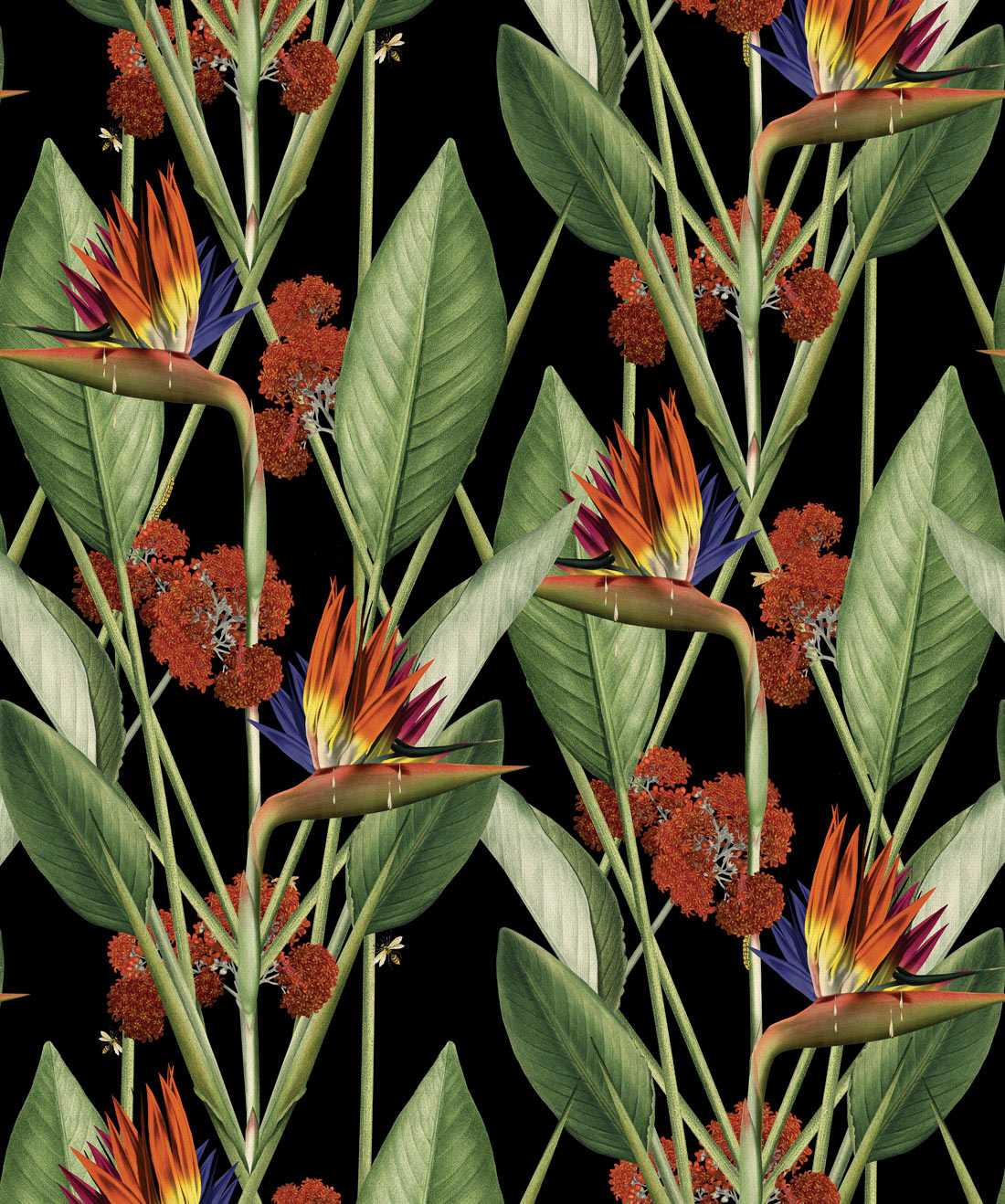 Birds Of Paradise Night