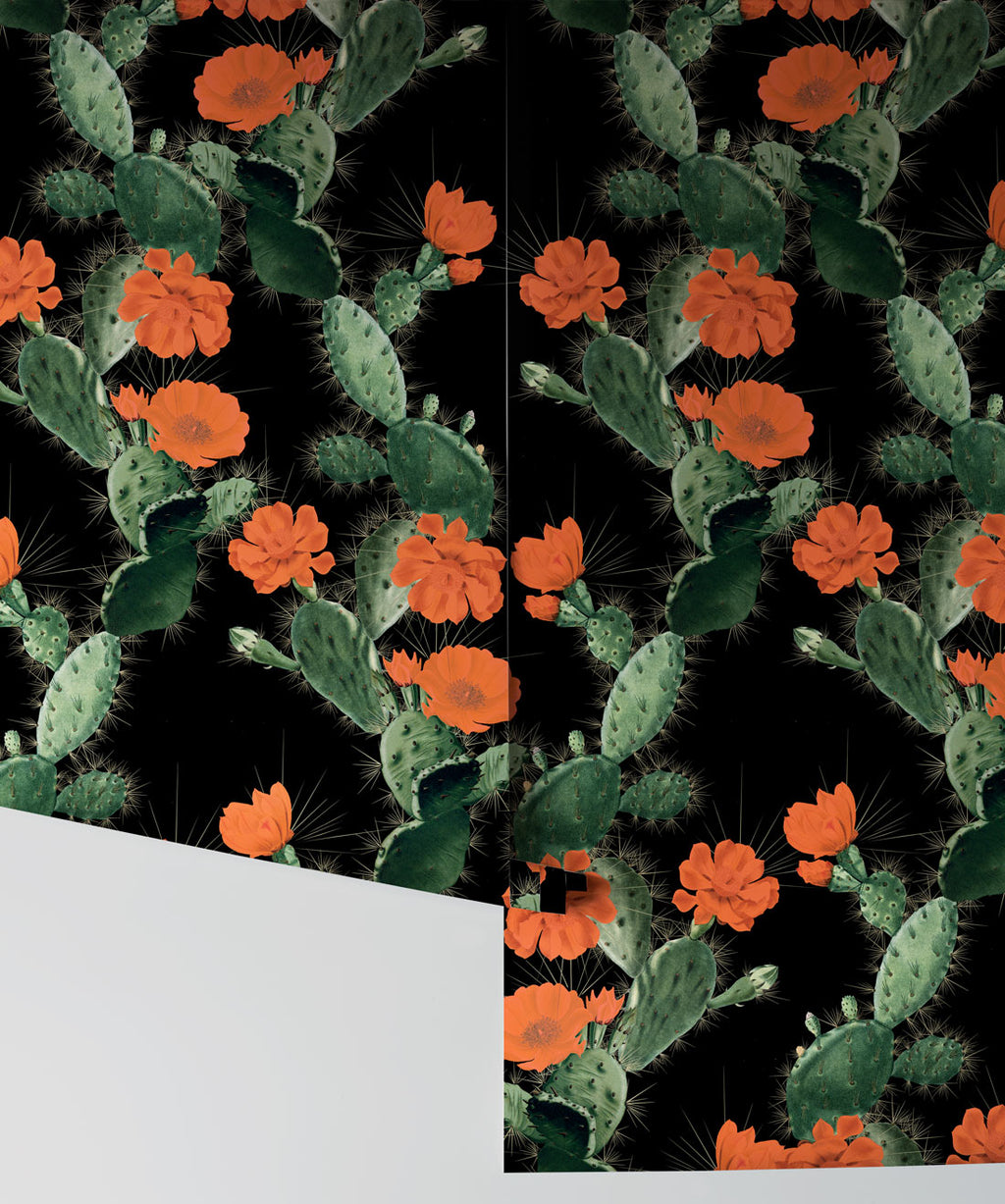 Cactus Wallpaper Red Night