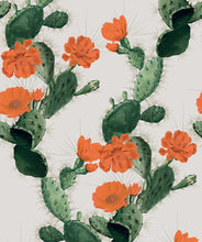 Load image into Gallery viewer, Cactus Wallpaper
