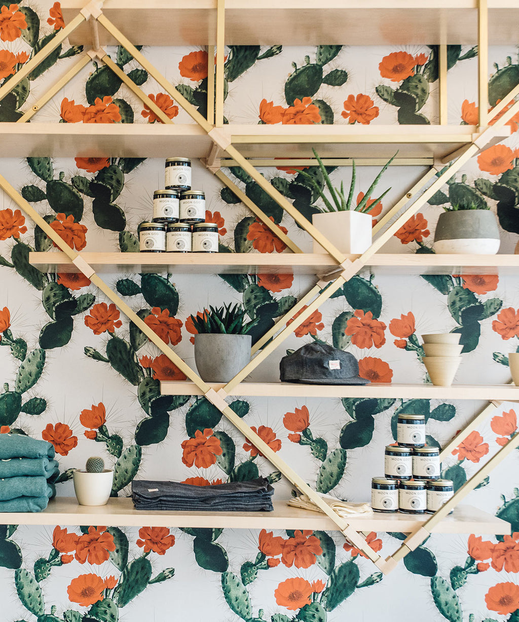 Cactus Wallpaper with a wallshelf