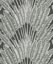 Load image into Gallery viewer, Feather Palm Wallpaper