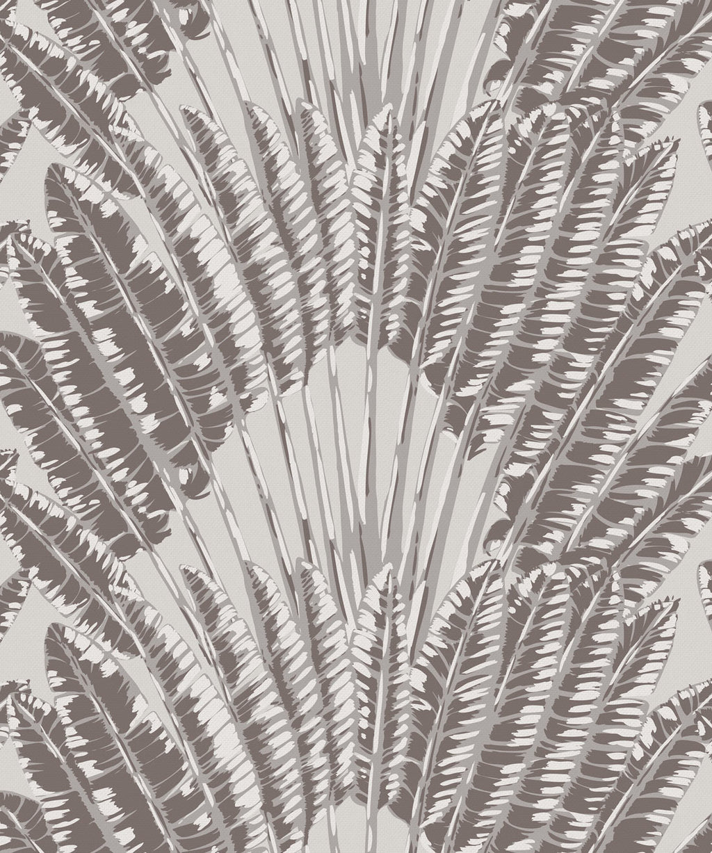 Feather Palm Wallpaper