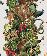 Load image into Gallery viewer, Viva Tropicana Canvas