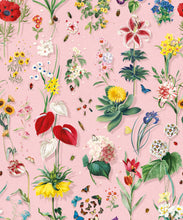 Load image into Gallery viewer, Jolie Wallpaper • Floral Wallpaper • Ribbon • Swatch
