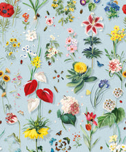 Load image into Gallery viewer, Jolie Wallpaper • Floral Wallpaper • Sky • Swatch