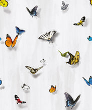 Load image into Gallery viewer, Papilio Wallpaper