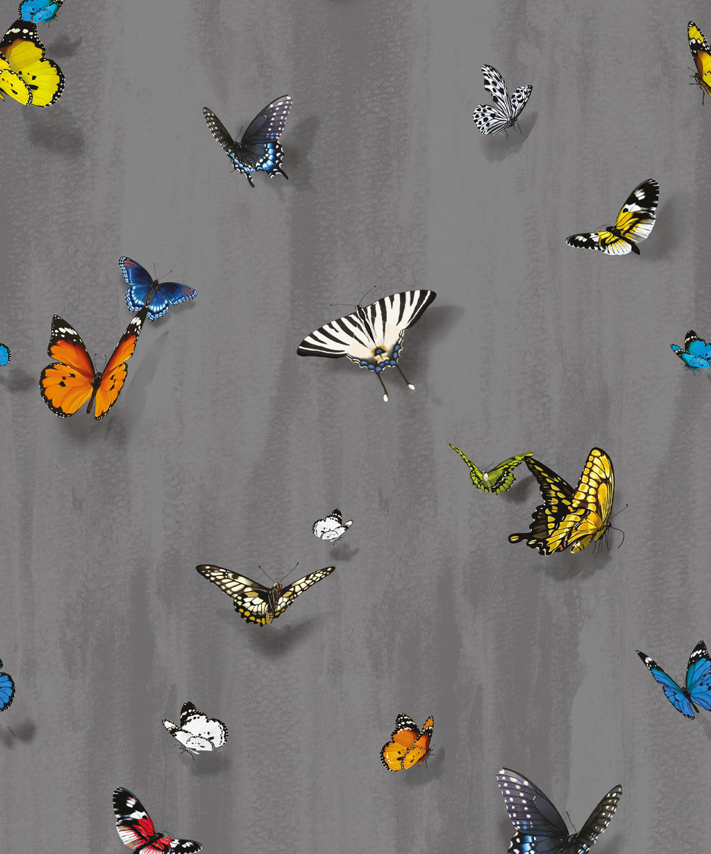 Papilio Wallpaper • Butterfly Wallpaper With Butterflies • Night • Swatch