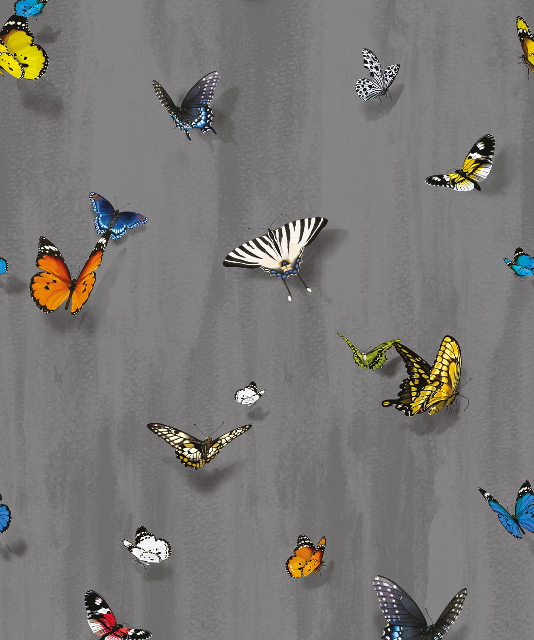 Papilio Wallpaper