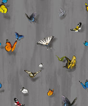 Load image into Gallery viewer, Papilio Wallpaper