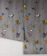 Load image into Gallery viewer, Papilio Wallpaper • Butterfly Wallpaper With Butterflies • Night • Roll