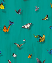 Load image into Gallery viewer, Papilio Wallpaper