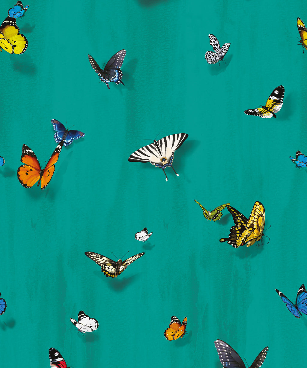 Papilio Wallpaper • Butterfly Wallpaper With Butterflies • Peacock • Swatch