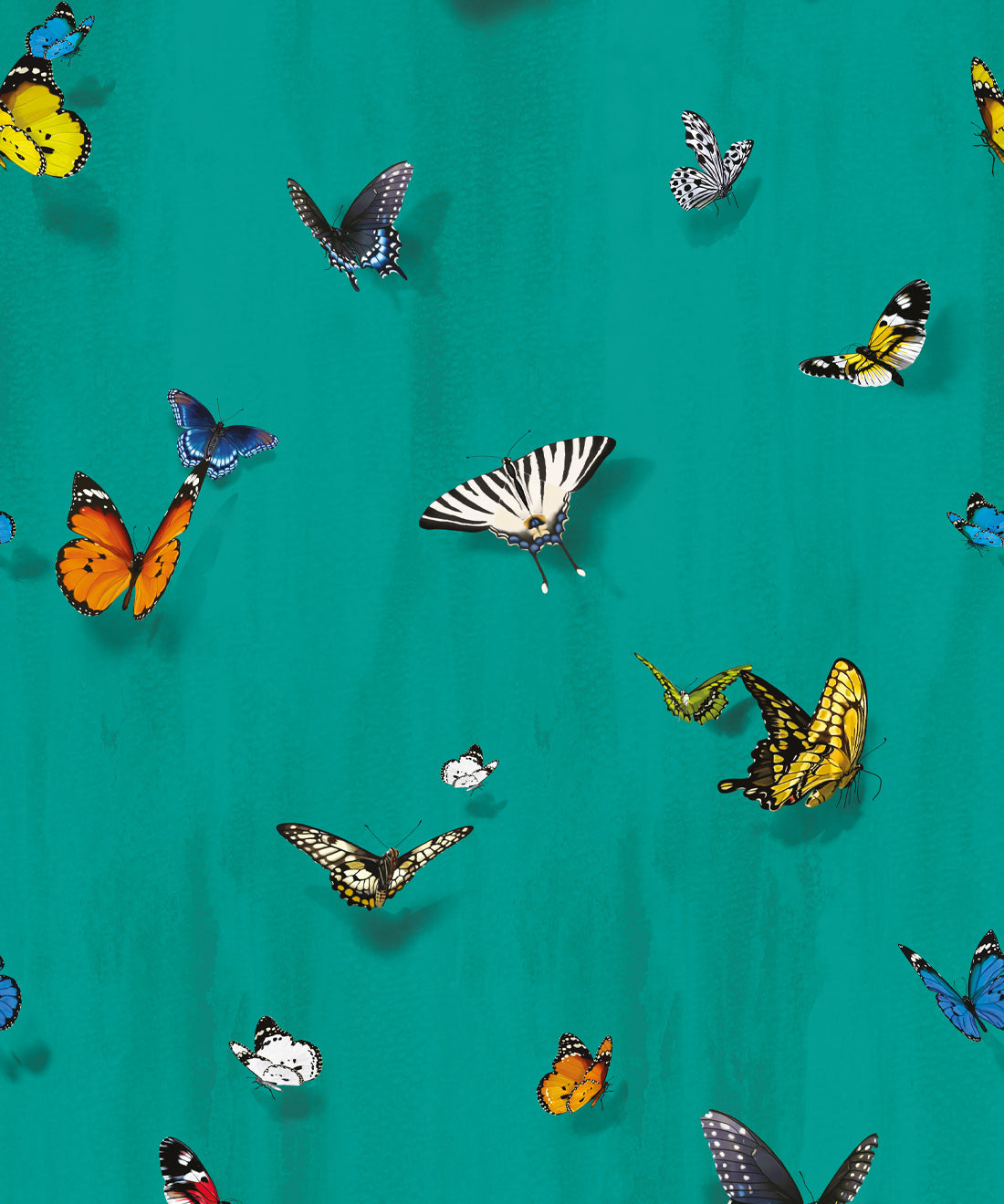 Papilio Wallpaper • Butterfly Wallpaper With Butterflies • Peacock • Swatch