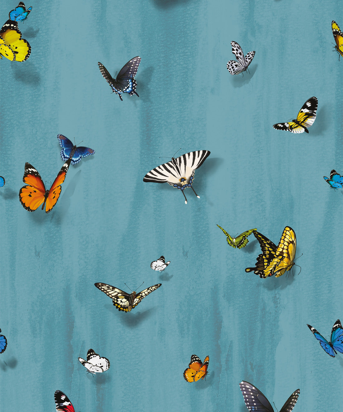 Papilio Wallpaper